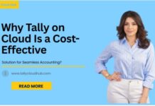Why Tally on Cloud is a Cost-Effective Solution for Seamless Accounting