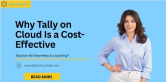 Why Tally on Cloud is a Cost-Effective Solution for Seamless Accounting